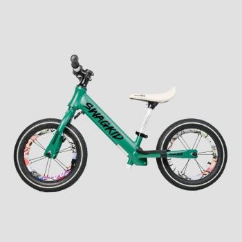 NO.24 SWAGKID S5改裝車